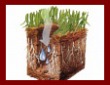 Aeration Tips