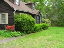 Walkway and Plantings
